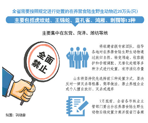 山东省将禁食陆生野生动物 从业主体将全部有序退出