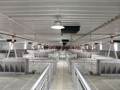 投资2亿元 成都在资阳建生猪养殖基地