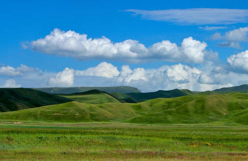 我国正式开建国家草原自然公园