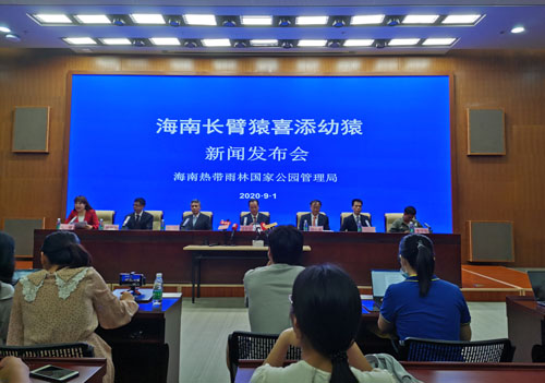 “人类孤独的近亲”——海南长臂猿喜添加“新丁”