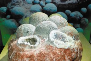 广东河源堪称现实版“侏罗纪公园”