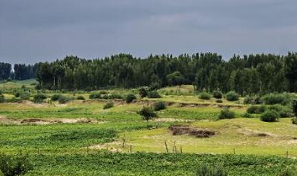 绿美广东生态建设扎实推进 南粤山河换新颜