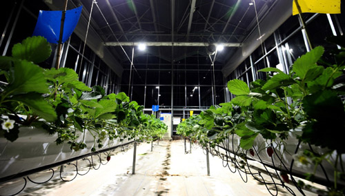 20201015164800990.jpg 3.jpg