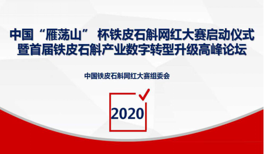 中国“雁荡山”杯铁皮石斛网红大赛启动仪式暨铁皮石斛产业数字化转型升级高峰论坛顺利召开
