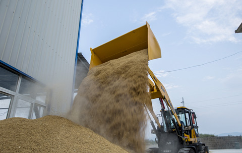 安徽省加强秋粮收购资金供应和管理 防止出现“卖粮难”“打白条”