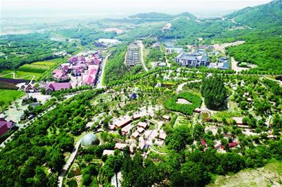 青岛：建成30个以上超10亿元产业强镇 建成7条百亿级种养规模化产业链