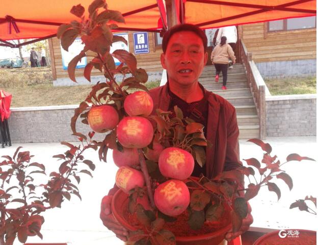 旧店果农玩转“艺术苹果” 苹果上贴“吉祥字” 身价翻两番