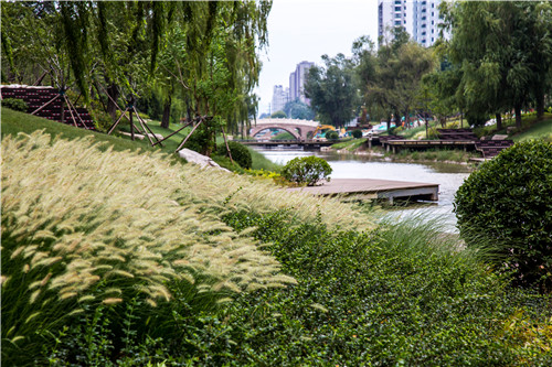 勇当青岛攻势急先锋，“品质城阳”建设在行动！