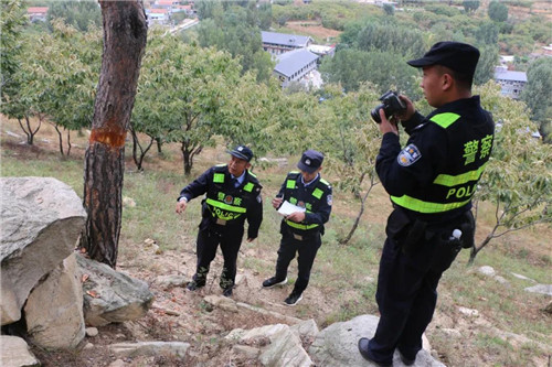 蒙山公安的坚守：233天无刑事案件，连续八年队伍零违法违纪