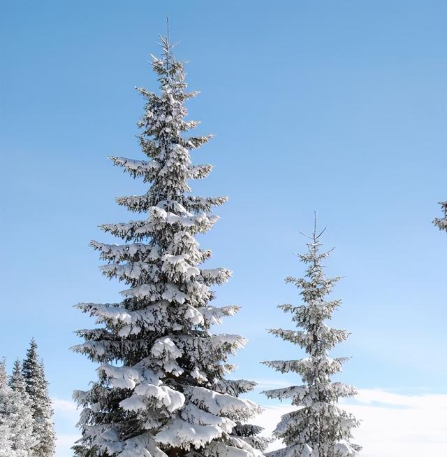 立冬后要牢记这些要点，平平安安来进补
