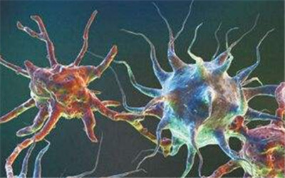 中科大解密神经突触中受体蛋白组织规则