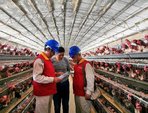 20201111143826538.jpg 7.jpg