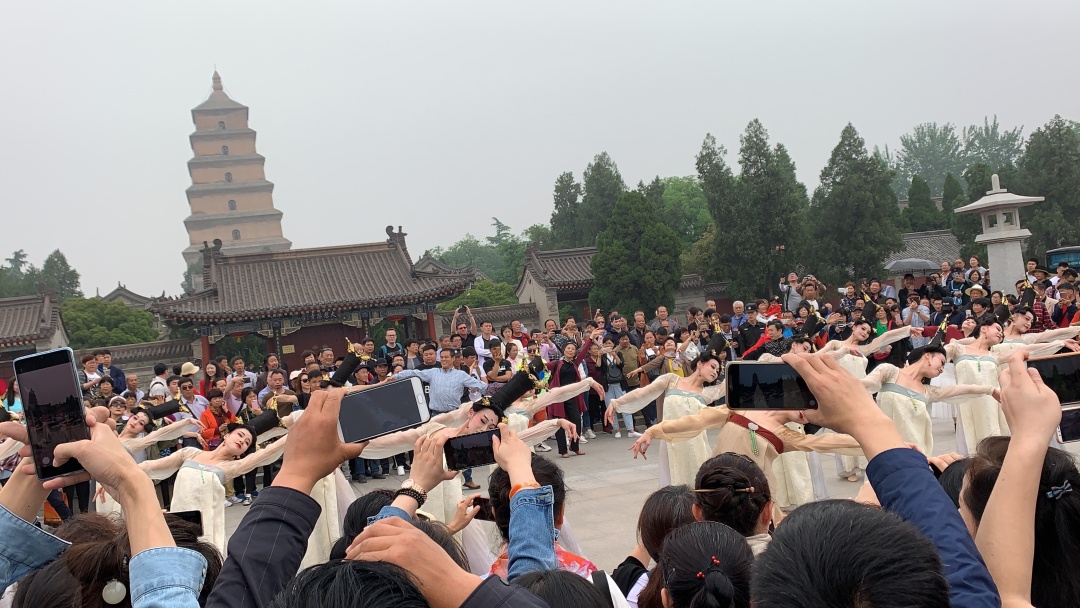 复盘《丽人行》:20亿播放量有“神操作”？