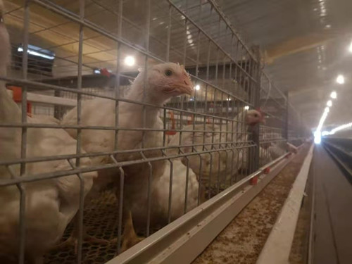 兰陵镇一”千万元“扶贫项目实现向贫困户分红