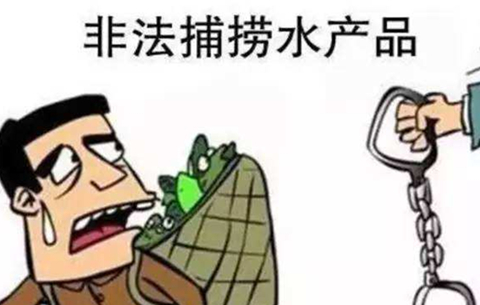 安徽警方破获长江流域非法捕捞案 查获刀鱼300余公斤