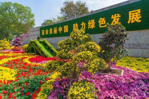 2020中国·合肥苗交会将首次实行“云上”办展