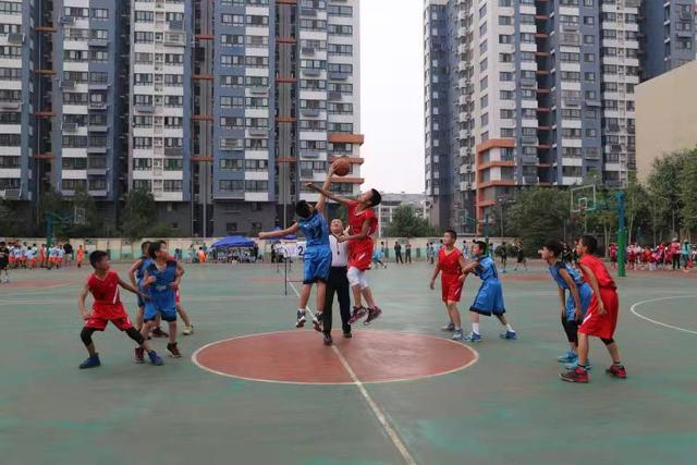 15分钟，48个名额被抢光——德州市德城区打造