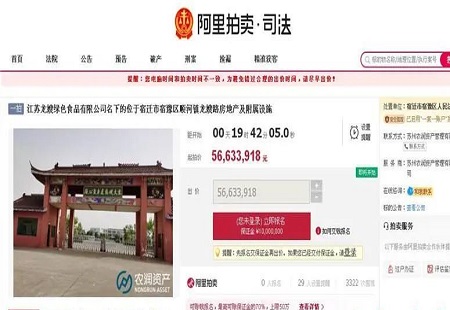 太突然！江苏一知名企业房产被拍卖