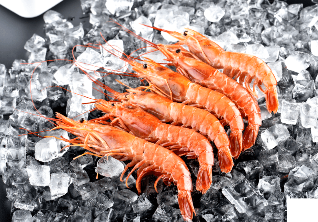 全国进口冷链食品追溯管理平台上线运行