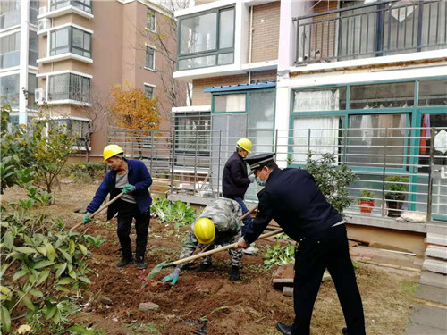 青岛市城市管理局集中开展绿化执法冬季攻势行动