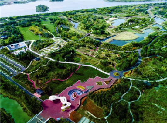 水更美 天更蓝 草更绿——东营市全力建设富有活力的现代化湿地城市（下）