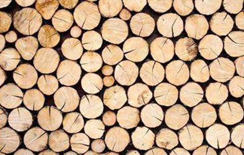 我国科学家研制出无需粘合剂的高性能仿生木材