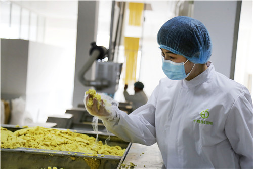 青岛莱西：理工科夫妻“跨界”做新农人