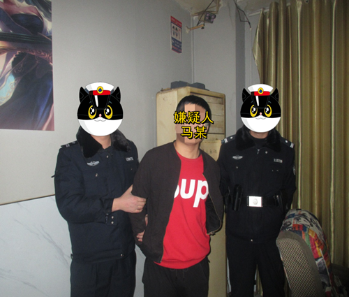 电子眼记录：“百变神偷”落网记