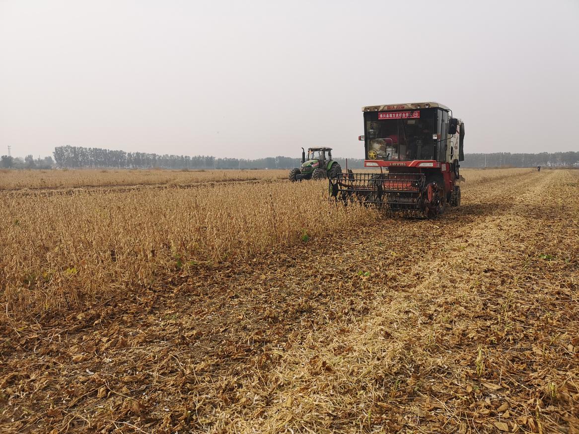 “机器换人”让农业轻装上阵 滨州市创建全国农作物机械化示范市