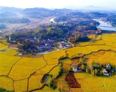 打造乡村全面振兴的安徽样板