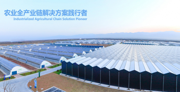 农业产业化发展还有多长的路要走？