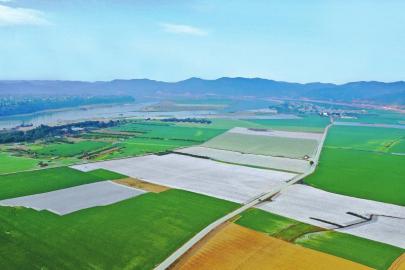 时隔20年 四川粮食产量再上700亿斤