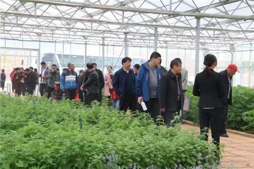 临沂市银行业 “四部棋”助力“百行进万企” 接地气保民生