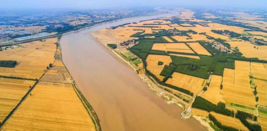 “十四五”时期，山东农业如何继续领跑全国？