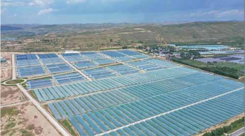 20210115120350579.jpg 3.jpg