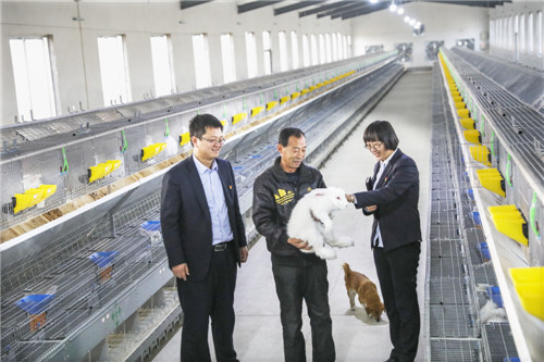 临沂银行业聚焦地方特色  激活乡村振兴新动能