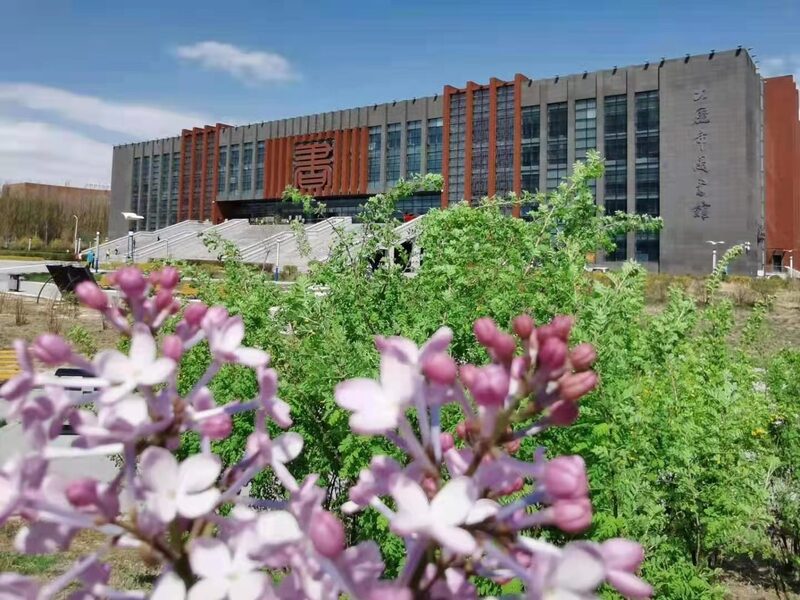 读者与大庆市图书馆的情缘