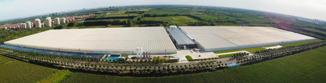 德州运河新区：数字化赋能乡村振兴