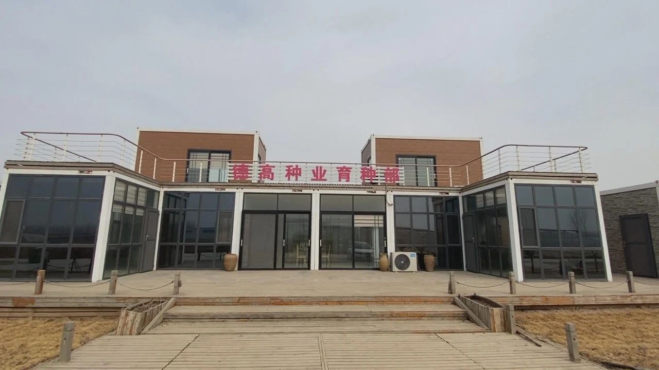 乡村振兴｜德州运河新区：全力推进种业企业高质量发展