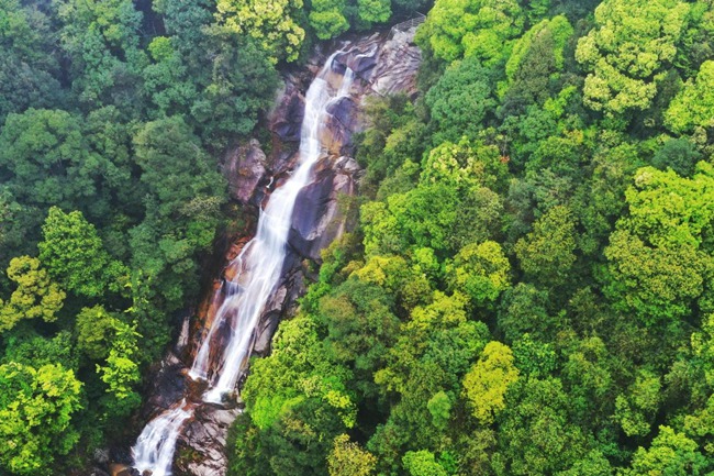 福建九项林改经验向全国推广