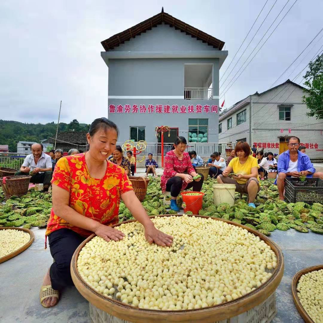 十年心手相牵，千里共赴小康德州市帮扶秀山县成效综述