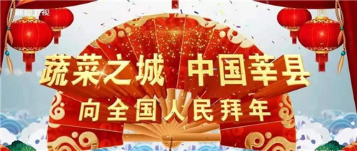 “蔬菜之城，中国莘县”叫响各大卫视，“莘县蔬菜”品牌迈入新高度