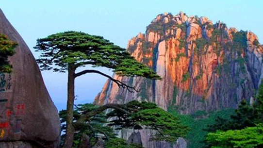 安徽黄山创新旅游综合执法“一盘棋”