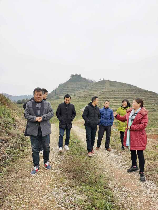 20210306095218185.jpg 20210306095218185.jpg