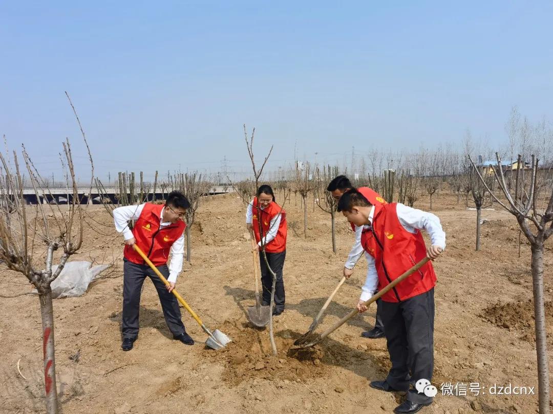 德州农商银行王村店分理处种下一片绿意，献礼建党一百年