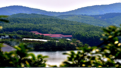 首批省级森林康养基地公示 19处森林美景入选