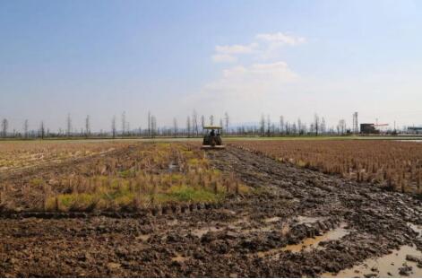 内蒙古5家单位入选首批农业高质量发展标准化示范项目创建名单