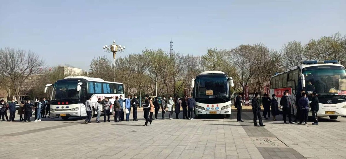 为爱献血，奉献社会——齐河县组织开展无偿献血活动