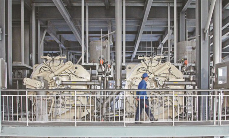 未来2到3年产值将达500亿 绥化让每一粒玉米物尽其值