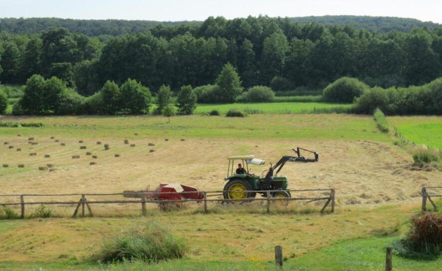 第四届“费孝通田野调查奖”揭晓
